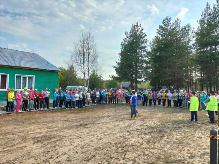 Скандинавская ходьба - один из видов испытаний ВФСК ГТО. Скандинавская ходьба - один из видов испытаний ВФСК ГТО.