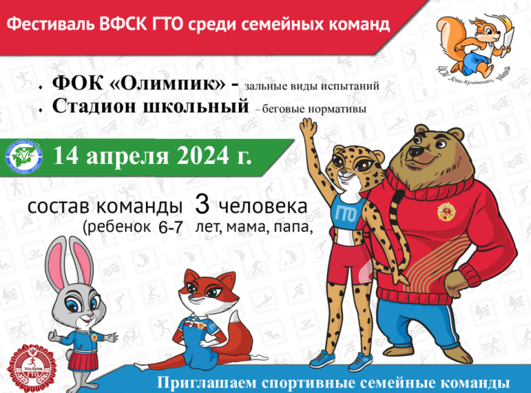 Фестиваль ВФСК ГТО среди семейных команд. Фестиваль ВФСК ГТО среди семейных команд.
